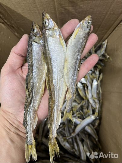 Корюшка вялено-сушенная Камчатская