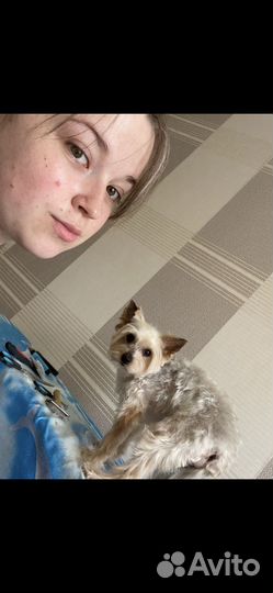 Стрижка кошек и собак, грумер, выезд на дом