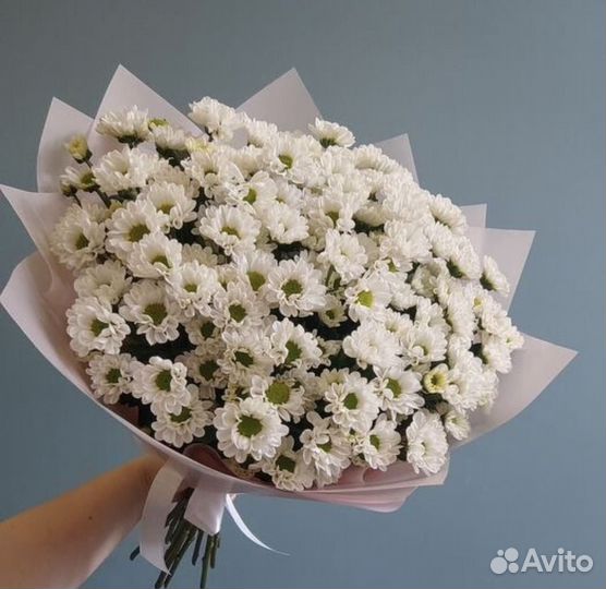 Ромашки Букеты Доставка