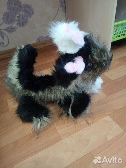 Меховой пёс