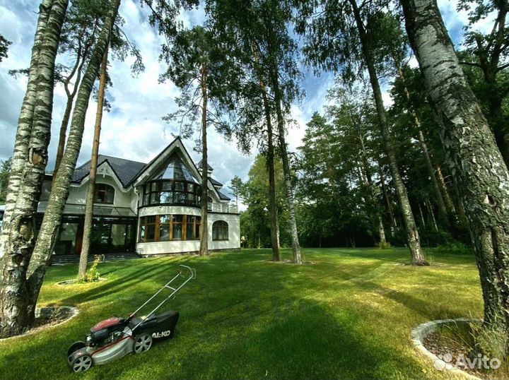 Рулонный газон