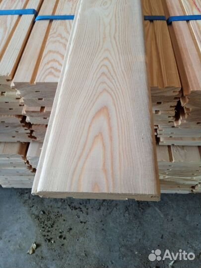 Штиль лиственница сибирская