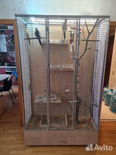Клетка вольер для среднего или крупного попугая