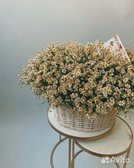 Букет ромашек