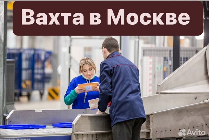 Подработка для студентов Вахта проезд оплатим