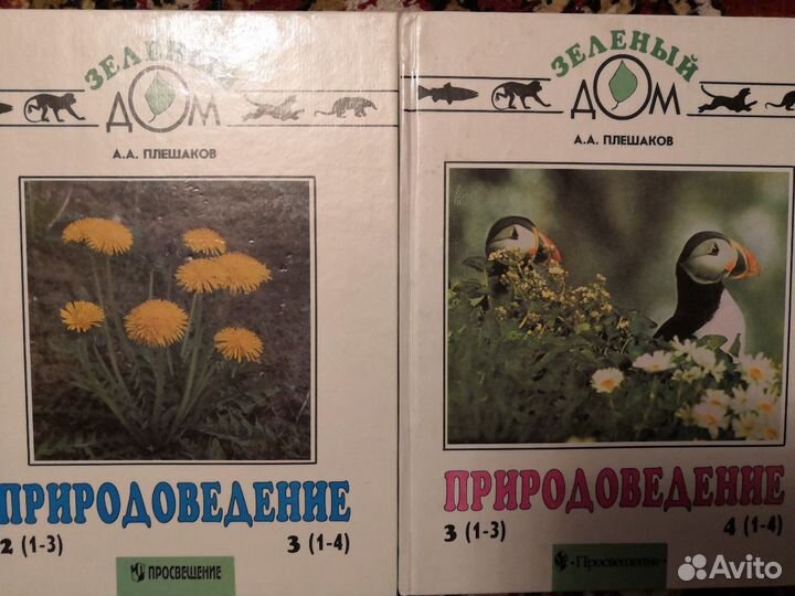 Учебники, пособия, словари