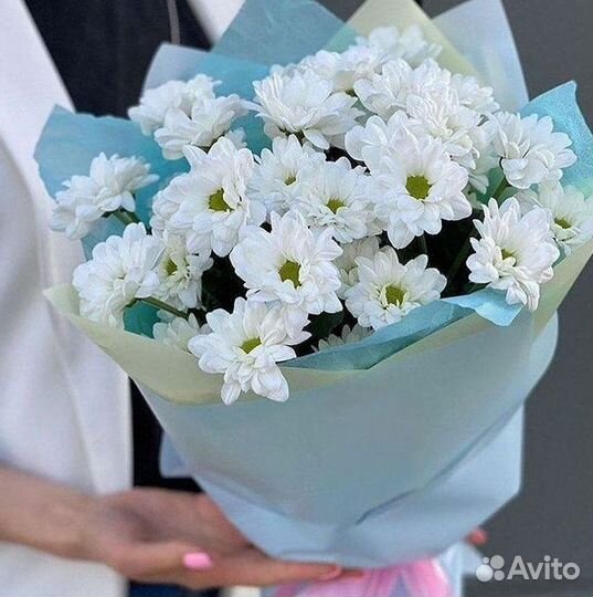 Хризантема Букет хризантем Доставка