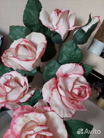 Ростовые розы