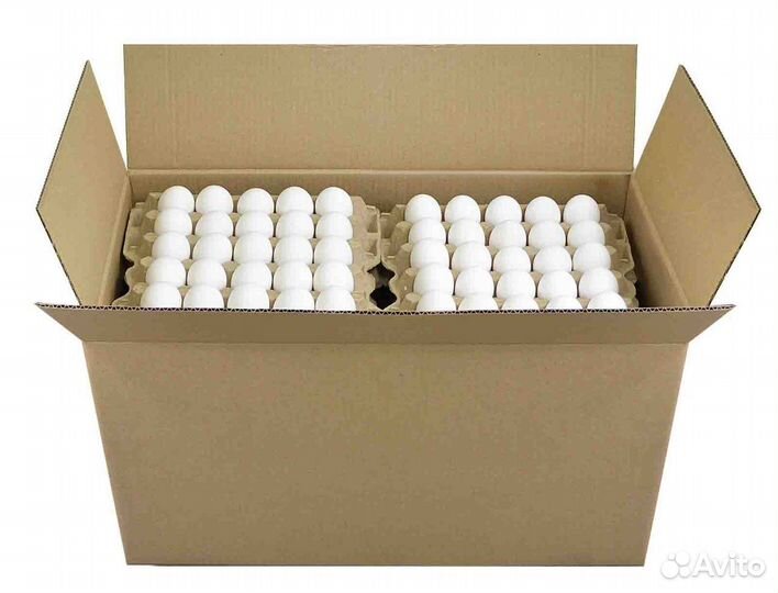 Яйцо куриное Оптом со С1 С2 С3