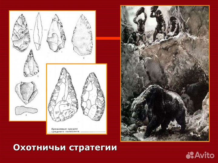 Кремневые орудия труда.скребки-резцы.Палеолит