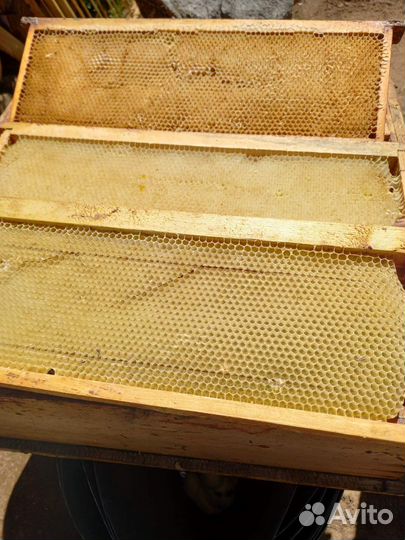 Рамки с сушью, ульи