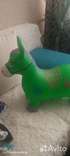 Осел прыгун