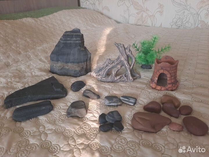 Аквариум и аксессуары к нему
