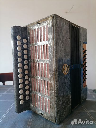 Гармонь кубань