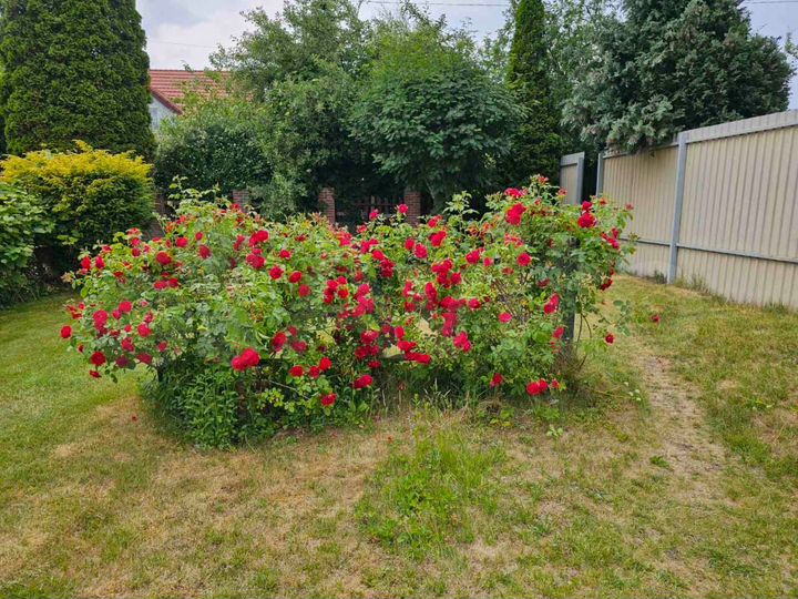 Участок 6 сот. (ИЖС)