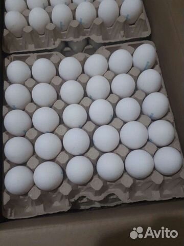 Яйцо куриное,фермерское