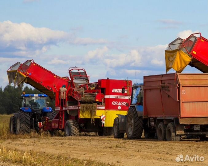 Пао Гусь Агро