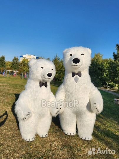 Белый медведь 2 метра костюм