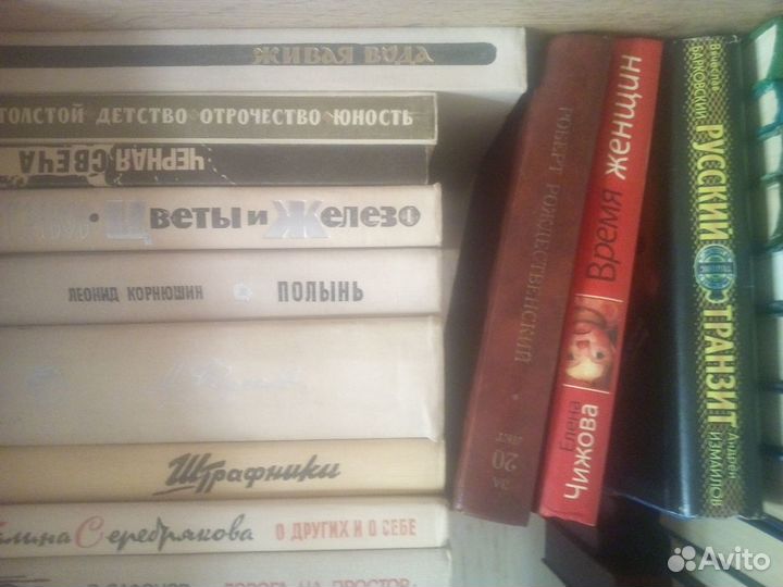 Книги отечественных писателей