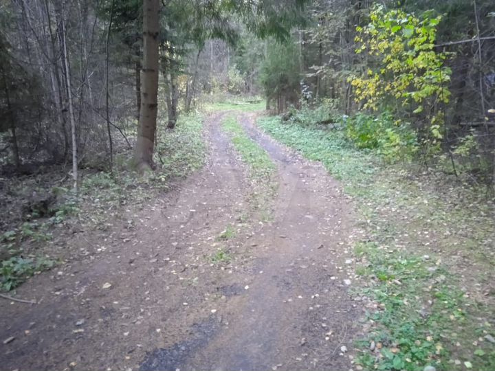 Участок 9,5 сот. (СНТ, ДНП)