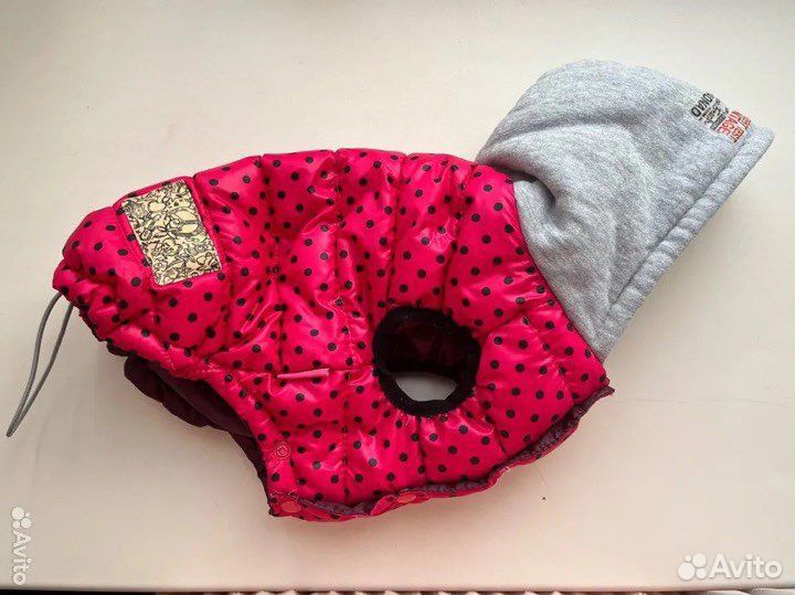 Костюм для собаки мелких пород с капюшоном