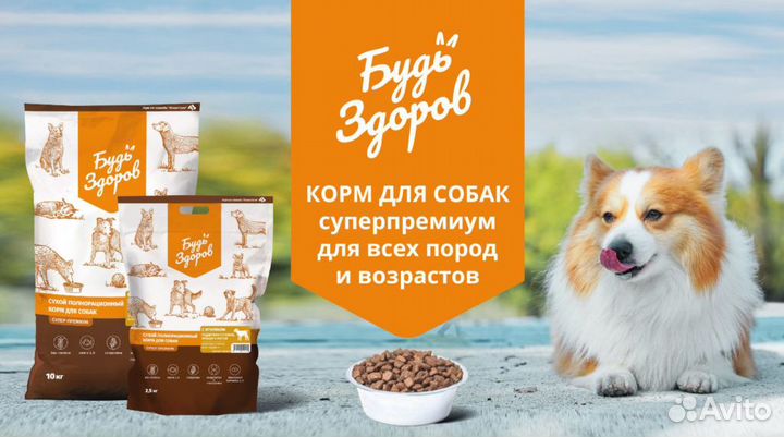 Корм для собак Живая сила Будь Здоров