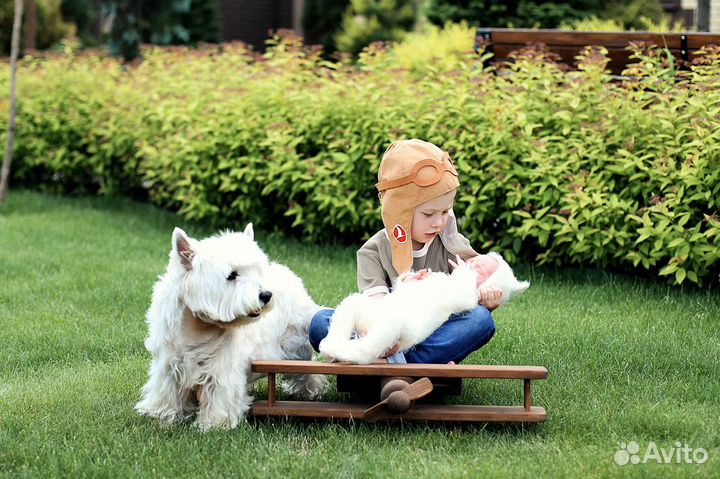 Фотограф новорожденных