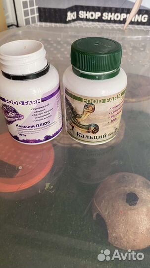 Эублефар с готовыми условиями