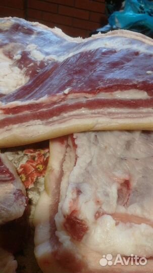 Продам мясо свинина