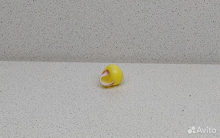 Ленд Снейл 2,10 морская ракушка раковина