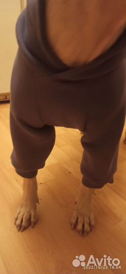 Толстовка для собаки 50см