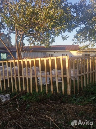 Пчелосемьи