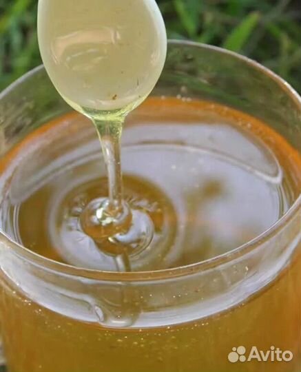 Мед белой акации 2024г