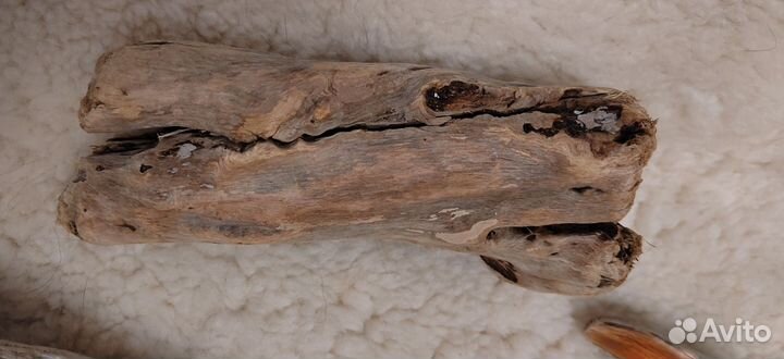 Декор коряги