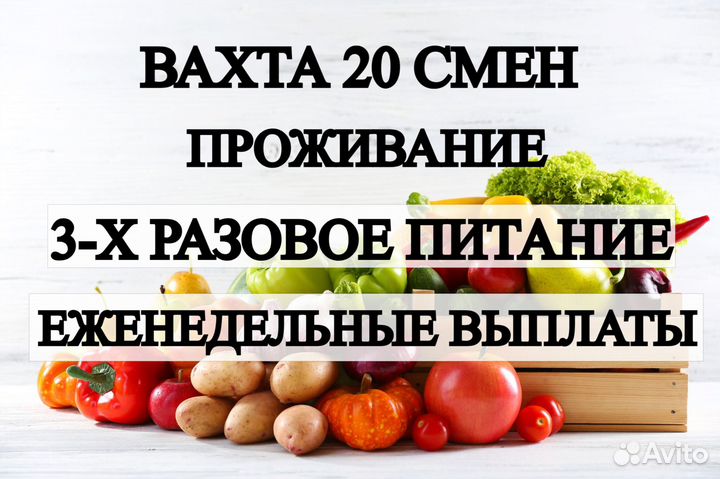 Вахта 15 смен / 3х разовое питание/ оператор линии