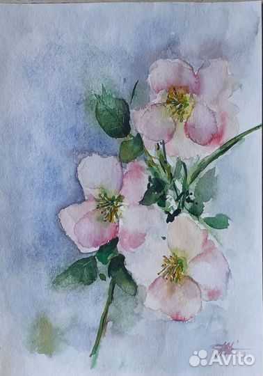 Картины акварелью 