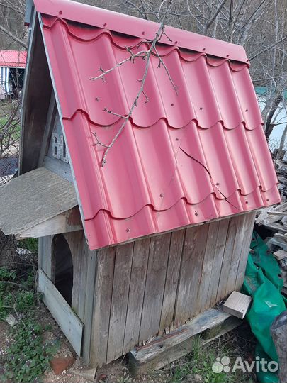 Собачья будка