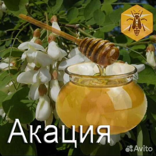Домашний мёд Акация