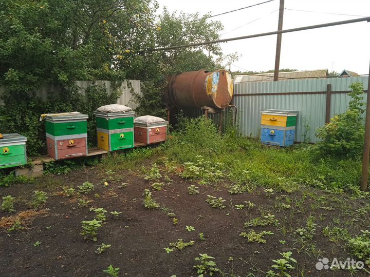 Улей для пчел