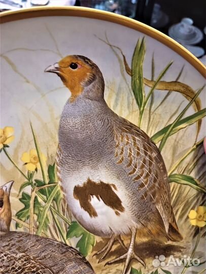 Тарелки декоративные, США, Франция