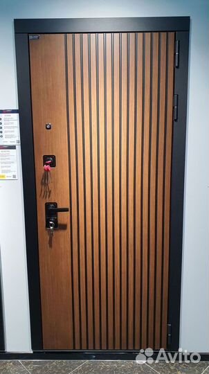 Дверь входная коричневая шумо-изоляционная Шторм