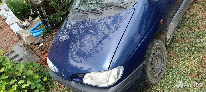 Капот Рено Сценик