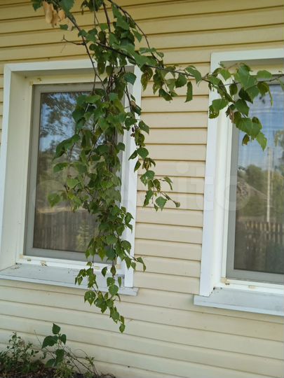 Дом 55 м² на участке 34 сот.