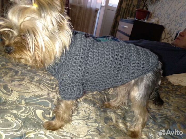 Вязаные вещи для собак