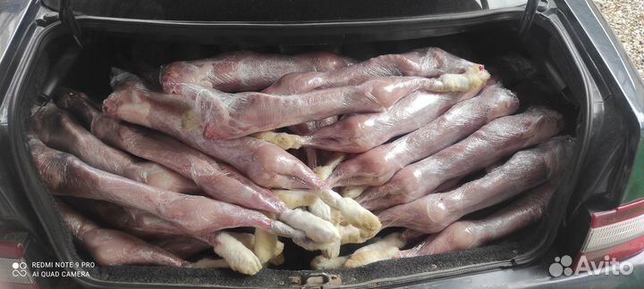 Кролики на мясо