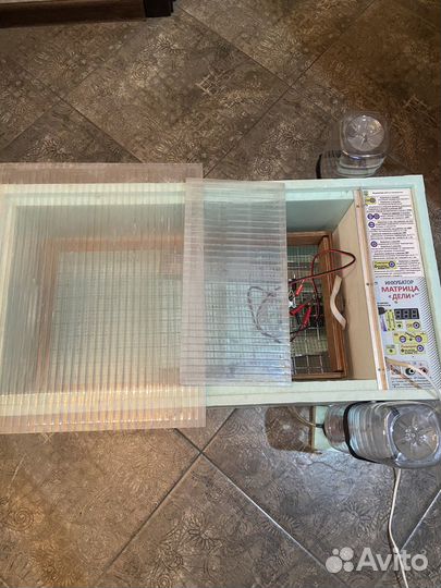 Инкубатор матрица дели