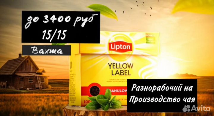 Вахта- Разнорабочий на производство чая, Москва