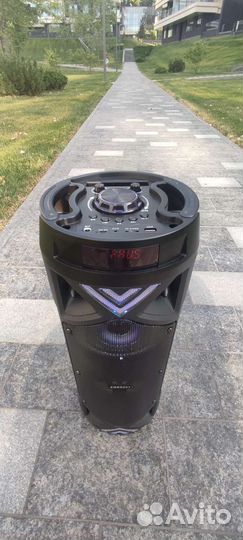 Блютуз колонка с караоке большая