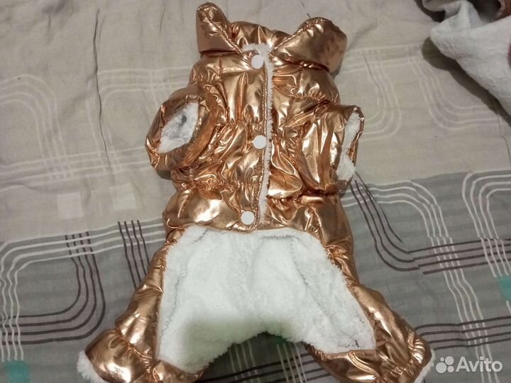 Комбинезон для собаки