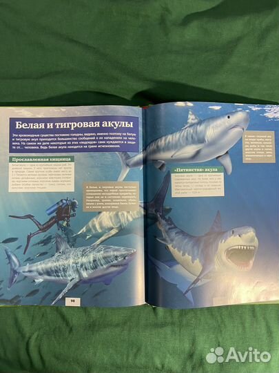 Всё о животных. Детская энциклопедия